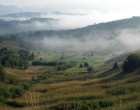 Străinii pot cumpăra fără restricţii terenuri